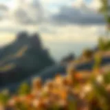 Diverse Investment Landscape Conceptual illustration of diversified investment options