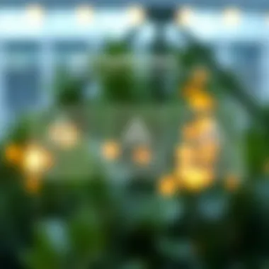 Eligibility Criteria for Investment in Mutual Funds Infographic outlining eligibility criteria for mutual fund purchases