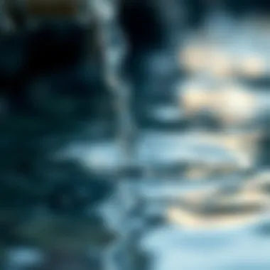 The importance of water as a natural resource