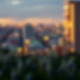 Graph illustrating capital gains trends over time