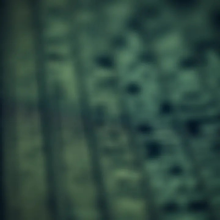 Evolution of SIC codes through the years